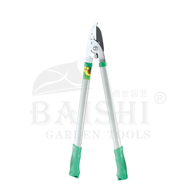 BSD-5138