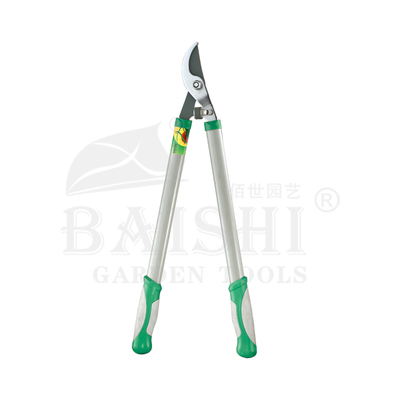 BSD-5197