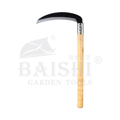 BSH-10009