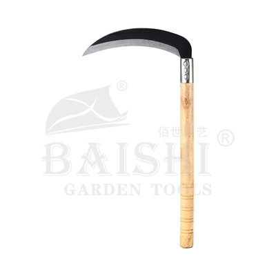 BSH-10010