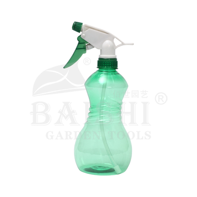 BSP-006