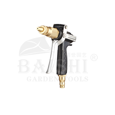 BSP-2546