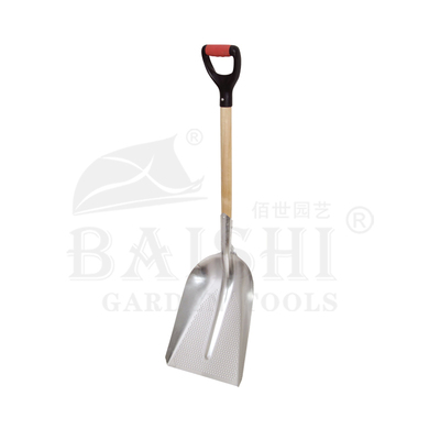 BSC-5583