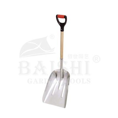 BSC-5579