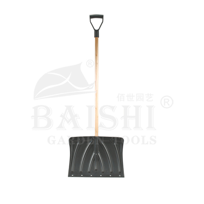 BSC-5595A