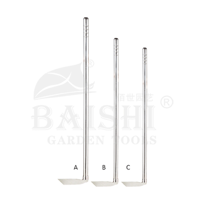 BSC-5592