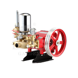 BSP-1621
