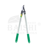 BSD-5137