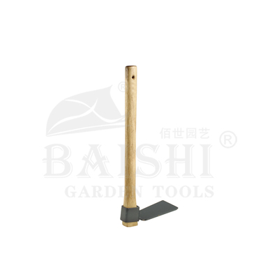 BSC-5506