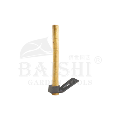 BSC-5501