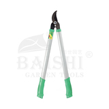 BSD-5139
